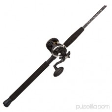 PENN Rival Level Wind Baitcast Reel and Fishing Rod Combo 564908431